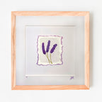 Lavender on White - Original Watercolour Illustration