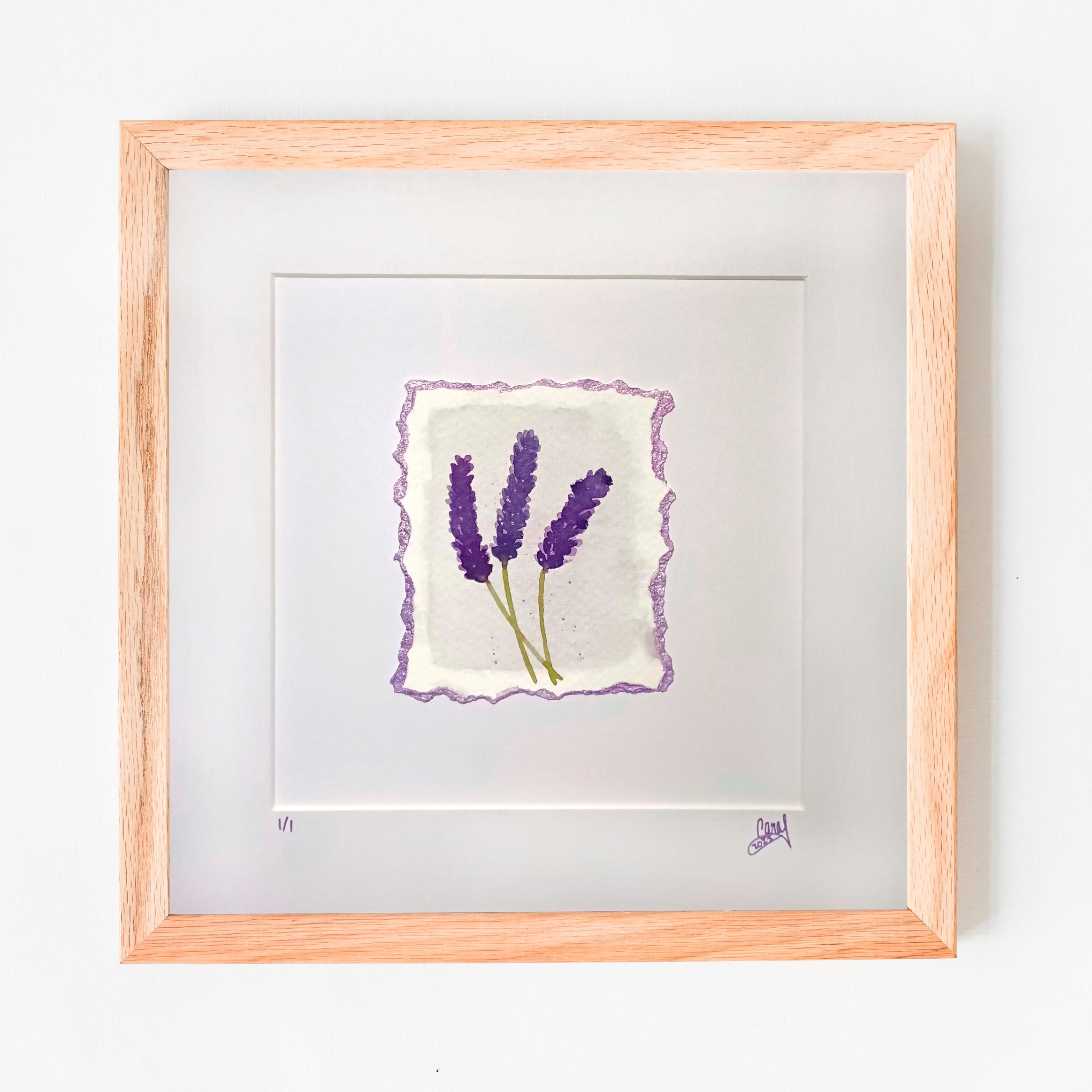 Lavender on White - Original Watercolour Illustration