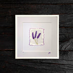 Lavender on White - Original Watercolour Illustration