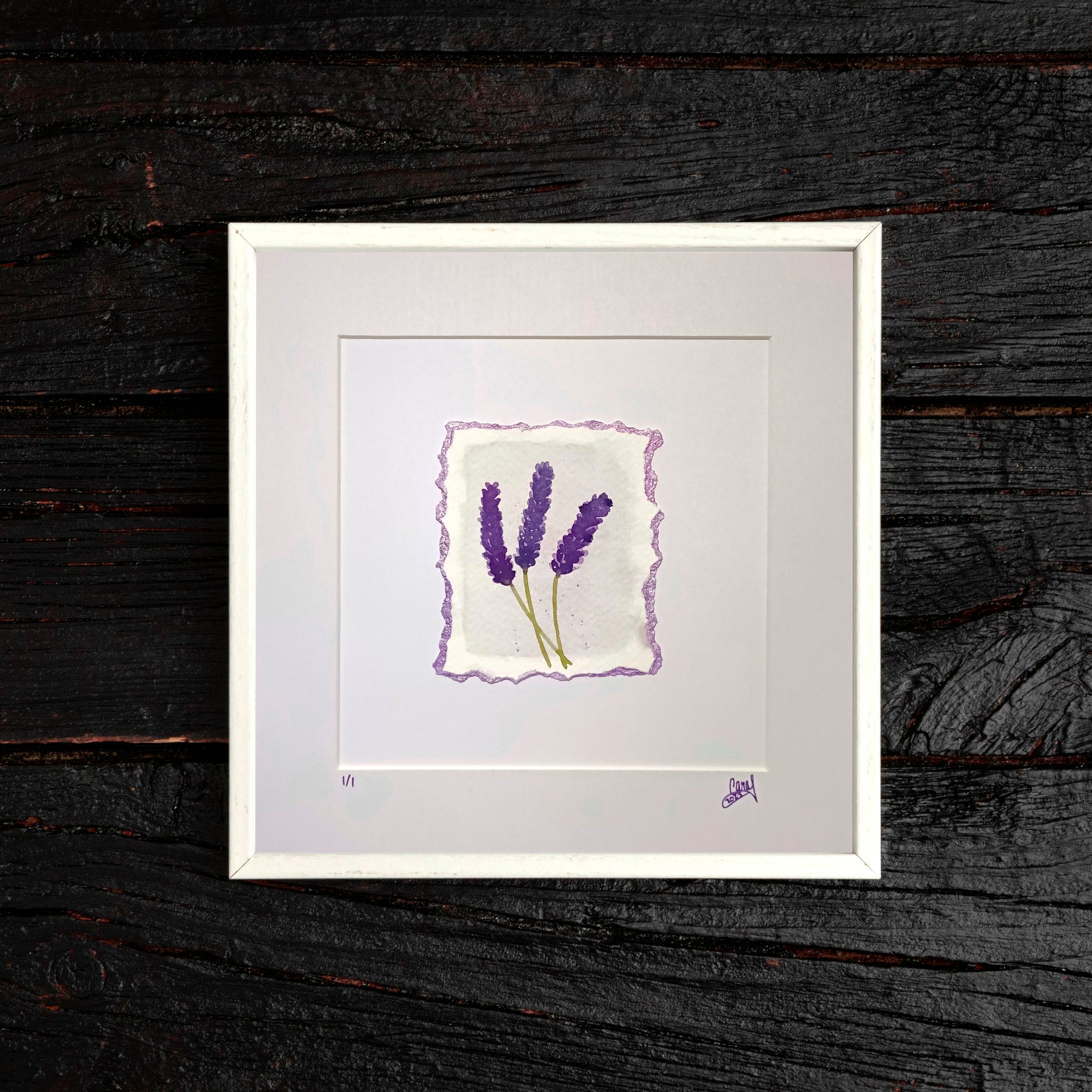 Lavender on White - Original Watercolour Illustration