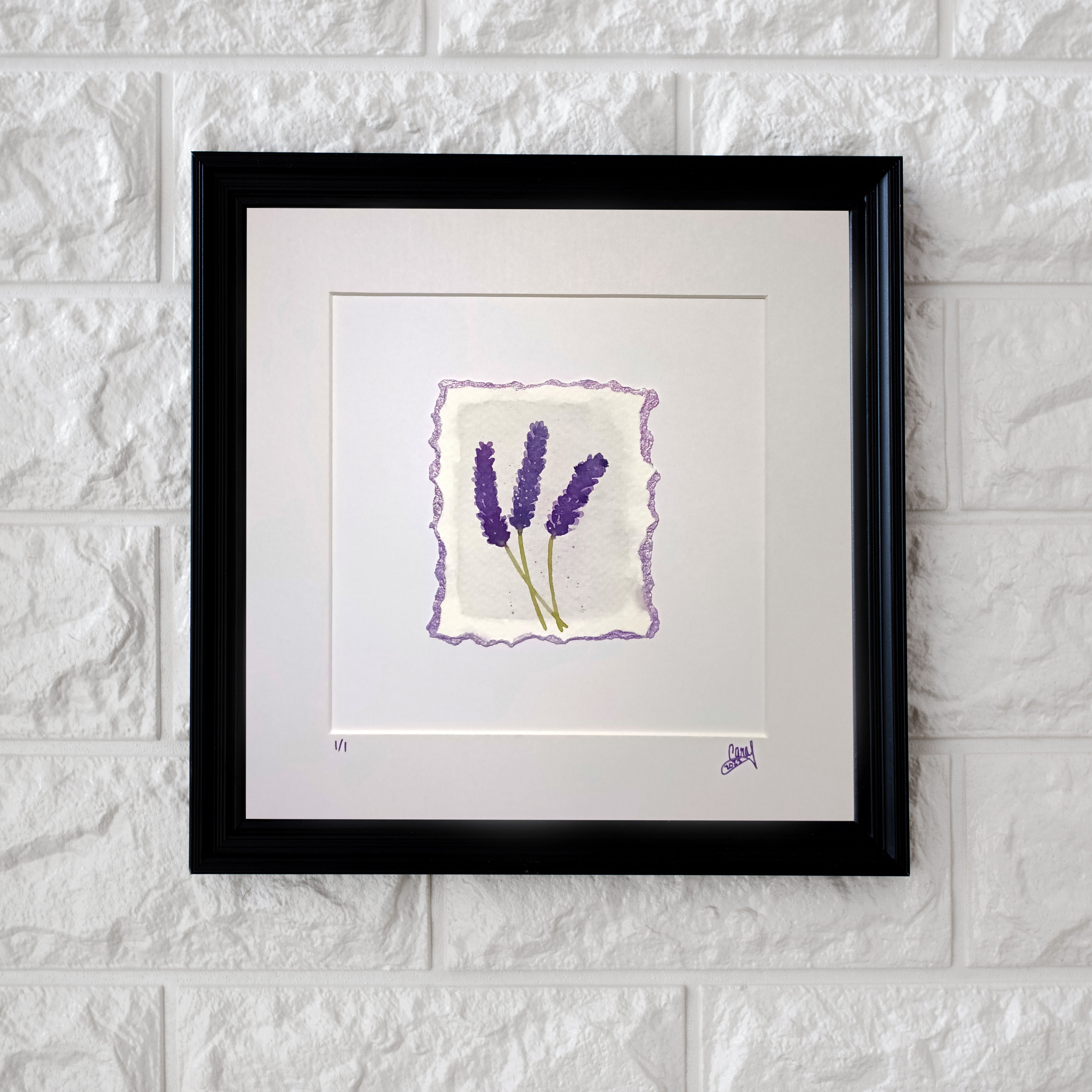 Lavender on White - Original Watercolour Illustration