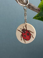 Ladybird Insect Keyring