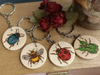 Four keyrings of woodburned insects layed out next to each other. From left to right: a blue beetle, a bumblebee, a ladybird, and a walking leaf insect.