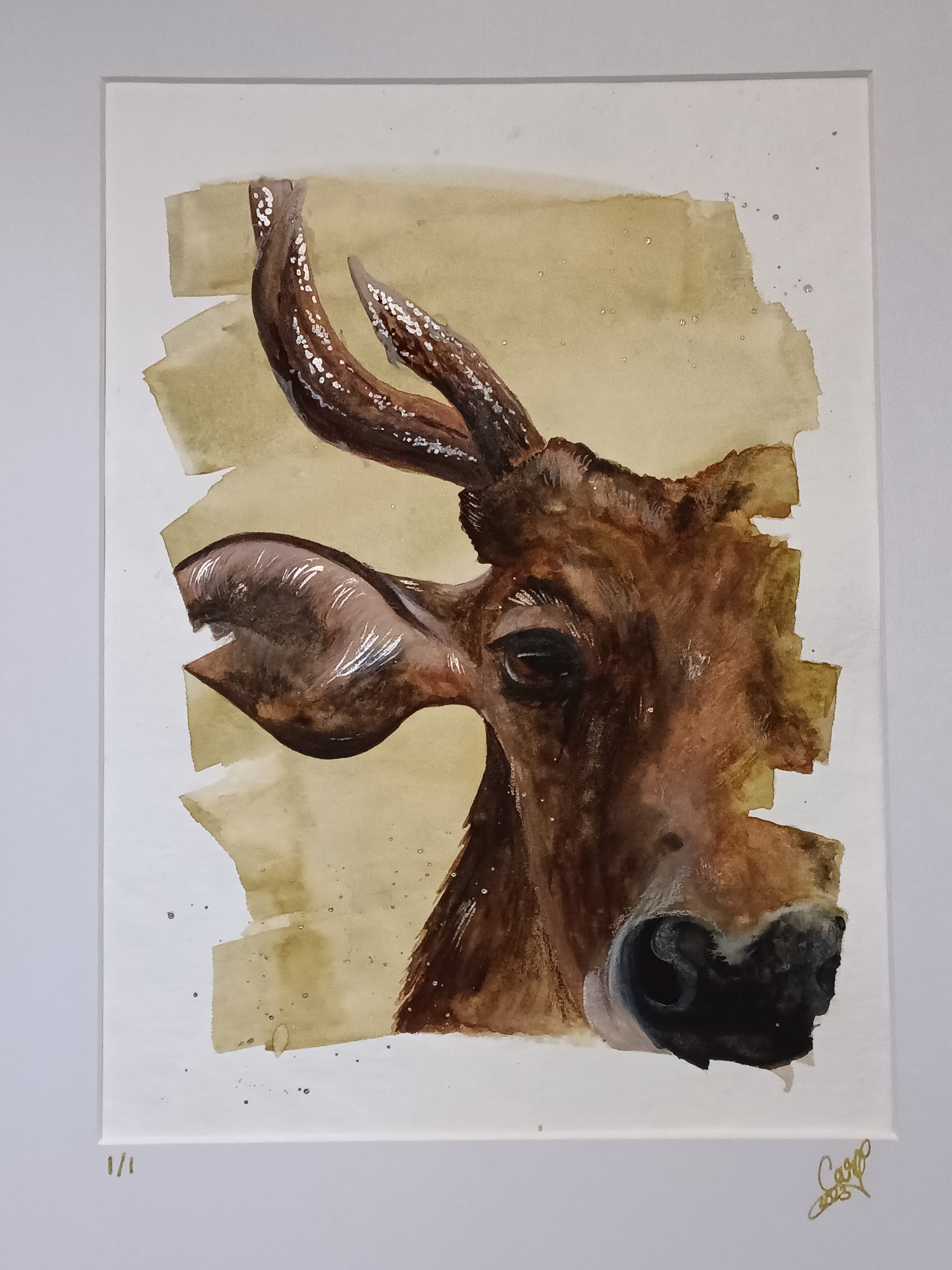 Matted watercolour painting of a cow portrait with shimmer accents.