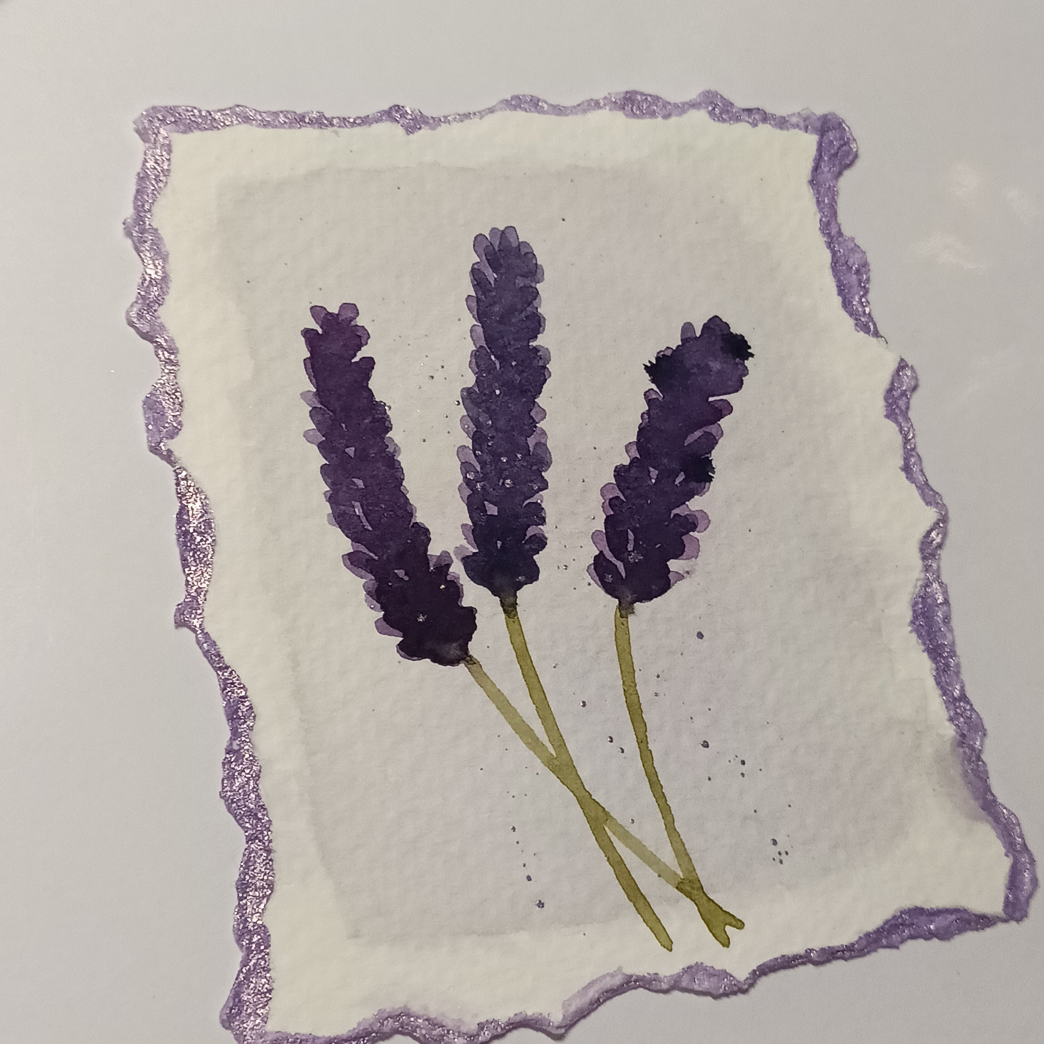 Lavender on White - Original Watercolour Illustration