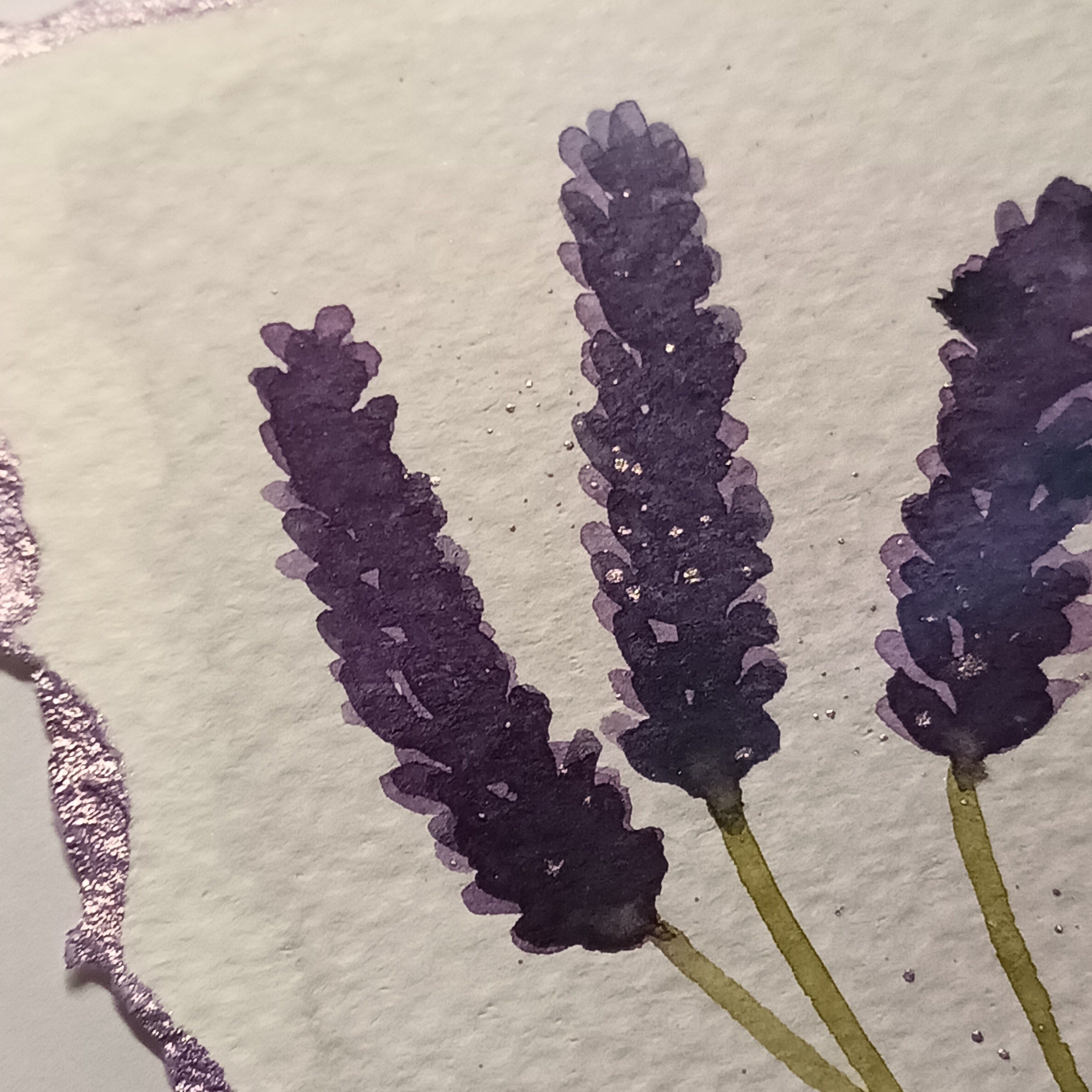 Lavender on White - Original Watercolour Illustration
