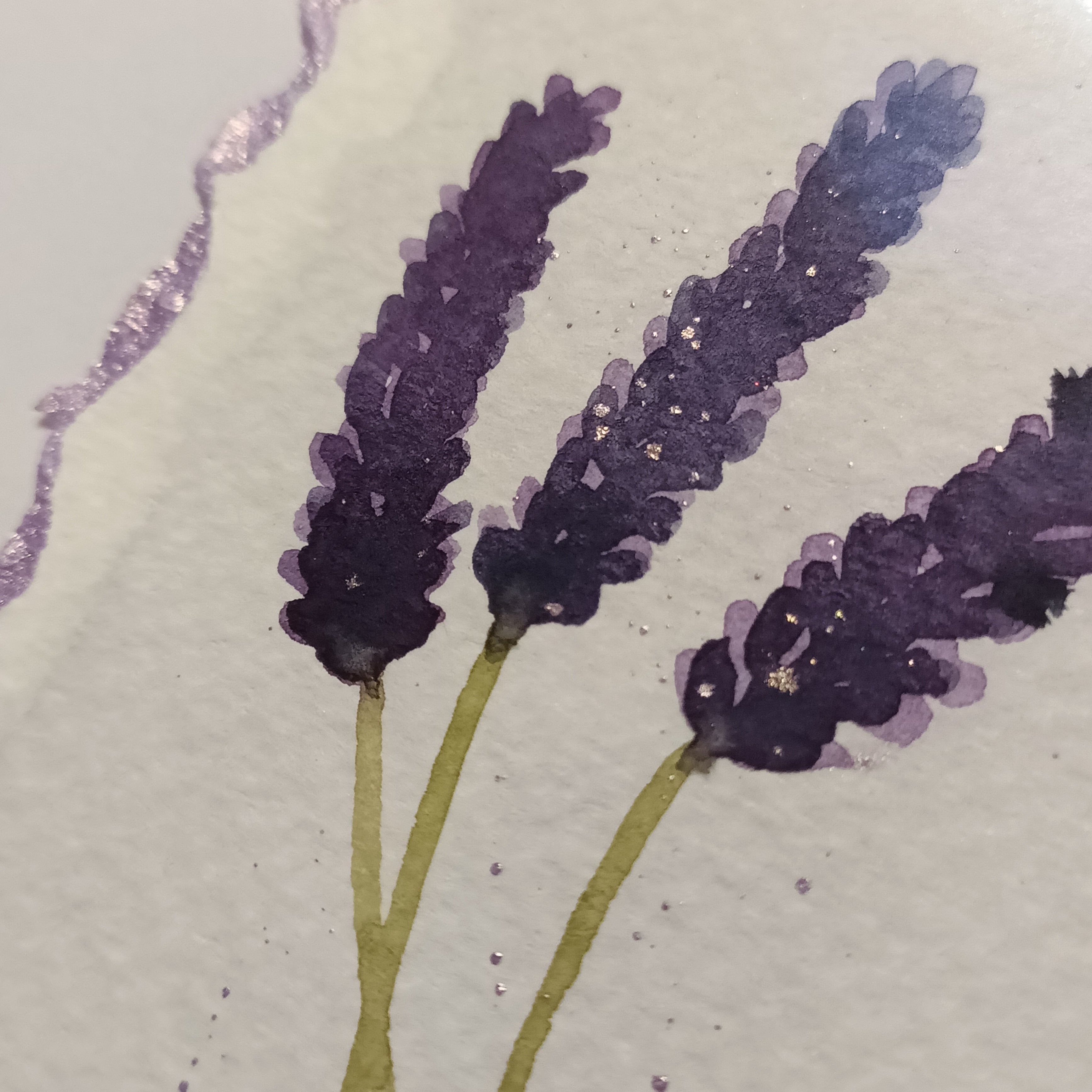 Lavender on White - Original Watercolour Illustration
