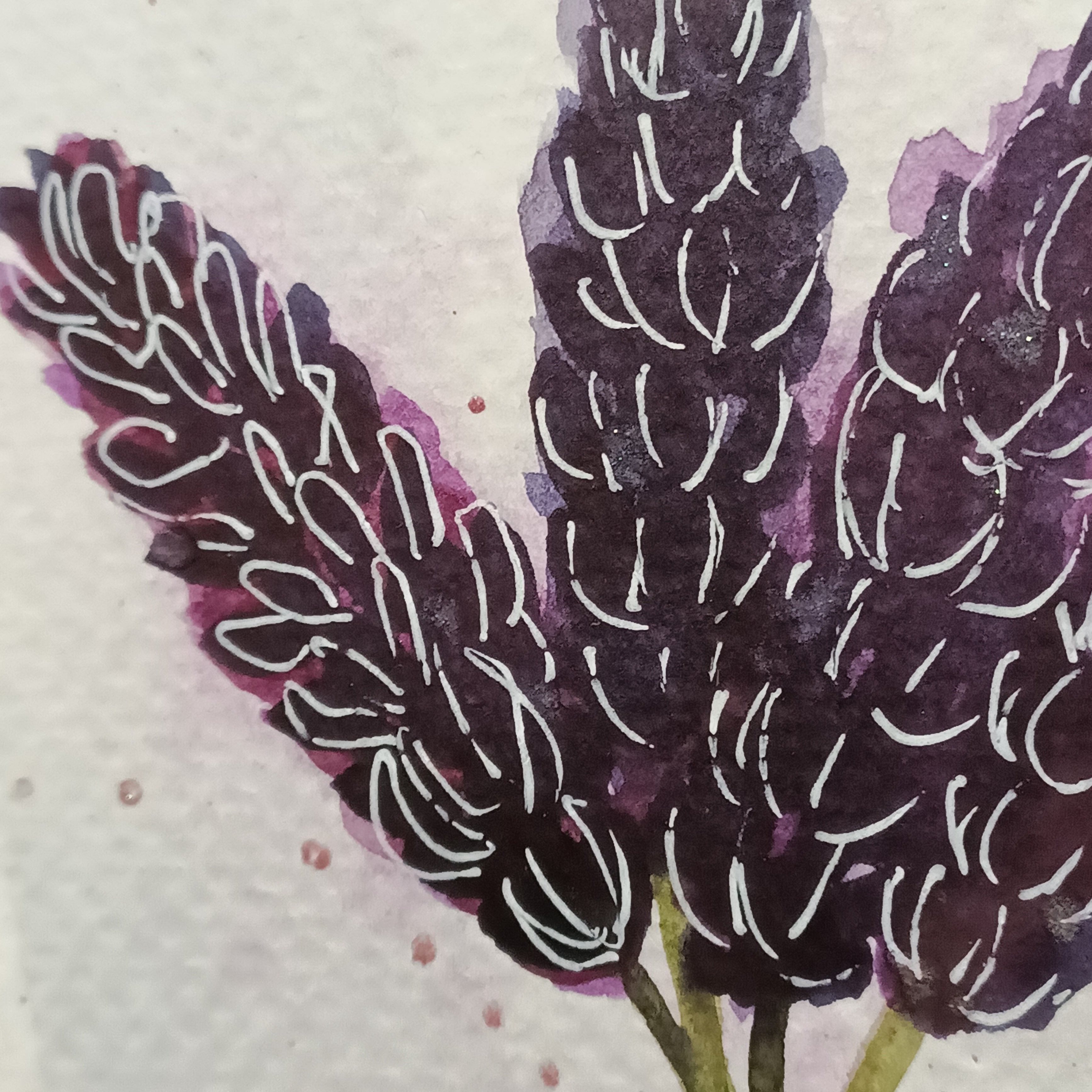 Lavender on Black - Original Watercolour Illustration