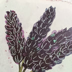 Lavender on Black - Original Watercolour Illustration