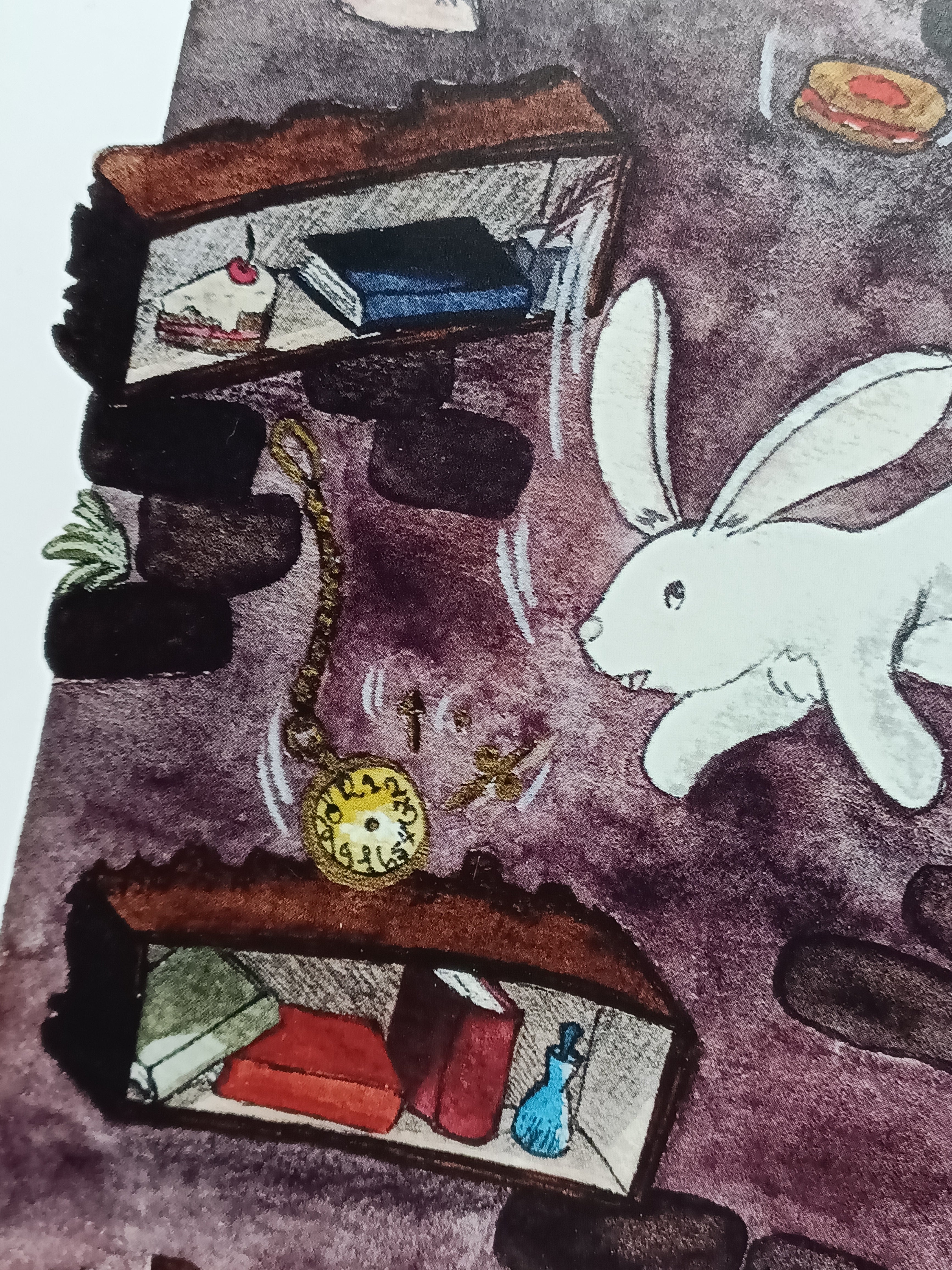 Close-up of the rabbit near shelves with books and a pocket watch.